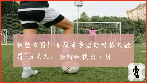 联盟重罚！东契奇赛后怒喷裁判被罚5万美元，独行侠提出上诉